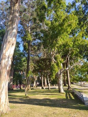 Apartamentos Mar De La Concha Vilagarcia de Arousa Eksteriør billede
